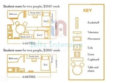 Kho đề thi Writing task 1 kèm bài mẫu từ đề thi thật ngày 06/01/2024 (Phần 10)